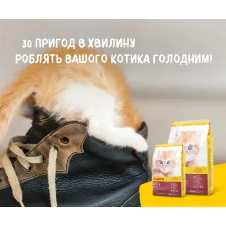 Сухий корм Josera Kitten для кошенят, вагітних та кішок із лактацією 0.4 кг