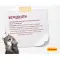 Сухий корм Josera Kitten для кошенят, вагітних та кішок із лактацією 0.4 кг