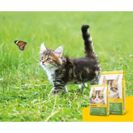 Сухий корм Josera Kitten grainfree Беззерновий для кошенят 2 кг