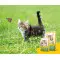 Сухий корм Josera Kitten grainfree Беззерновий для кошенят 2 кг