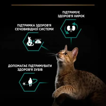 Сухий корм Purina Pro Plan (Пуріна Про План) Sterilised Adult Renal Plus з індичкою для стерилізованих котів 14 кг