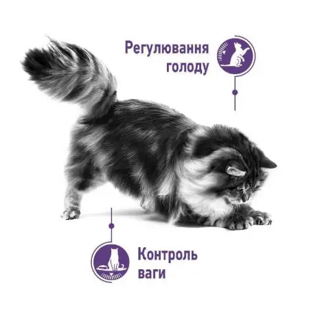 Сухий корм Royal Canin Appetite Control Care для стерилізованих кішок, 2 кг