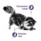 Сухий корм Royal Canin Appetite Control Care для стерилізованих кішок, 2 кг