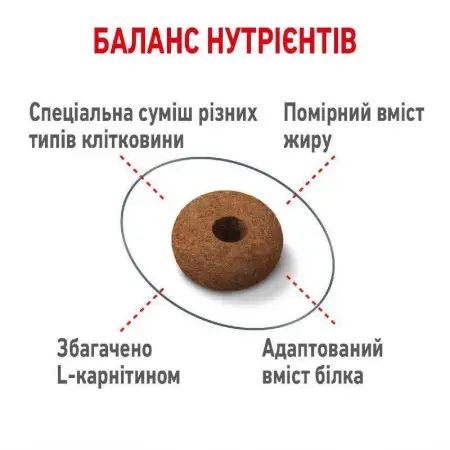 Сухий корм Royal Canin Appetite Control Care для стерилізованих кішок, 2 кг