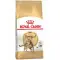 Сухий корм Royal Canin Bengal Adult для бенгальської кішки, 2 кг