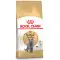 Сухий корм Royal Canin British Shorthair Adult для британських короткошерстих кішок, 10 кг