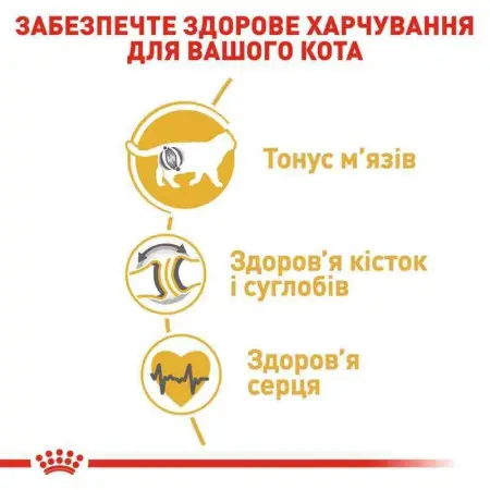 Сухий корм Royal Canin British Shorthair Adult для британських короткошерстих кішок, 2 кг