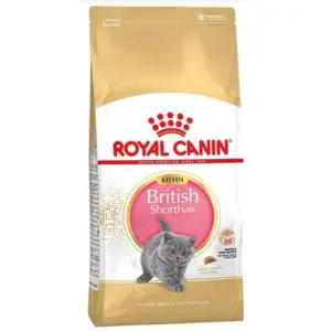 Сухий корм Royal Canin British Shorthair Kitten для британських кошенят, 10 кг
