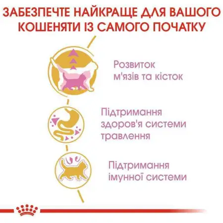 Сухий корм Royal Canin British Shorthair Kitten для британських кошенят, 400 г