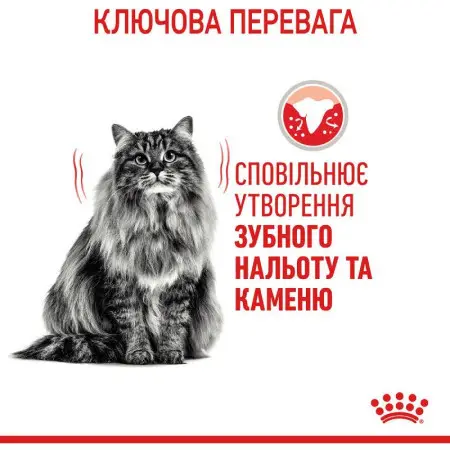 Сухий корм Royal Canin Dental Care для зменшення утворення зубного каменю у кішок, 1.5 кг