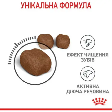 Сухий корм Royal Canin Dental Care для зменшення утворення зубного каменю у кішок, 1.5 кг