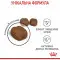 Сухий корм Royal Canin Dental Care для зменшення утворення зубного каменю у кішок, 1.5 кг