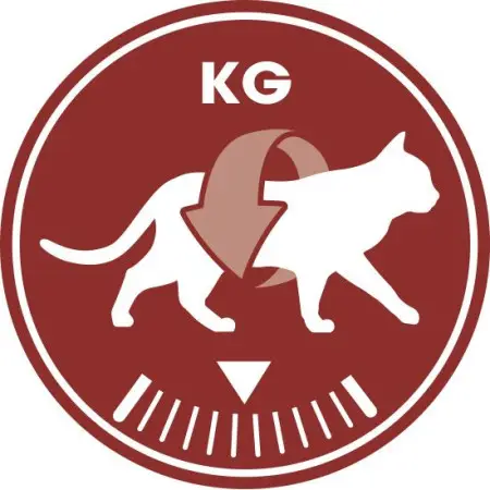 Сухий корм Royal Canin Fit 32 для кішок, 2 кг