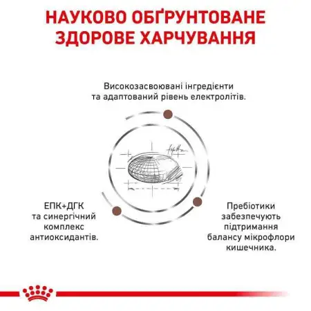Сухий корм Royal Canin Gastro Intestinal Moderate Calorie при порушеннях травлення у кішок, 400 г