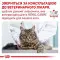Сухий корм Royal Canin Gastro Intestinal Moderate Calorie при порушеннях травлення у кішок, 400 г