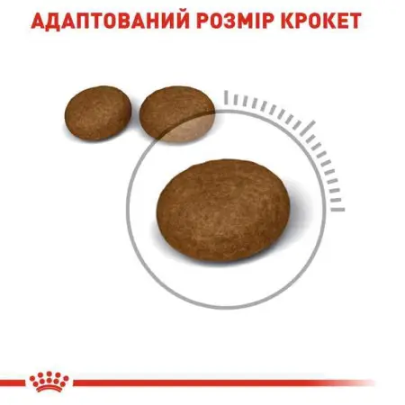 Сухий корм Royal Canin Hair & Skin Care для котів, догляд за шерстю, 400 г