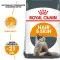 Сухий корм Royal Canin Hair & Skin Care для котів, догляд за шерстю, 400 г
