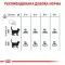 Сухий корм Royal Canin Hairball Care для виведення шерсті у кішок, 2 кг