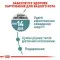 Сухий корм Royal Canin Hairball Care для виведення шерсті у кішок, 2 кг
