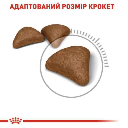 Сухий корм Royal Canin Hairball Care для виведення шерсті у кішок, 400 г