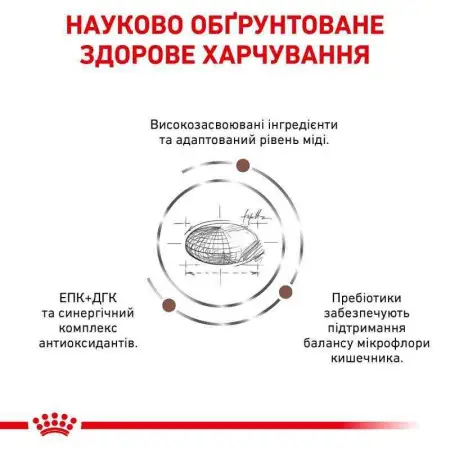 Сухий корм Royal Canin Hepatic при захворюванні печінки у кішок, 2 кг