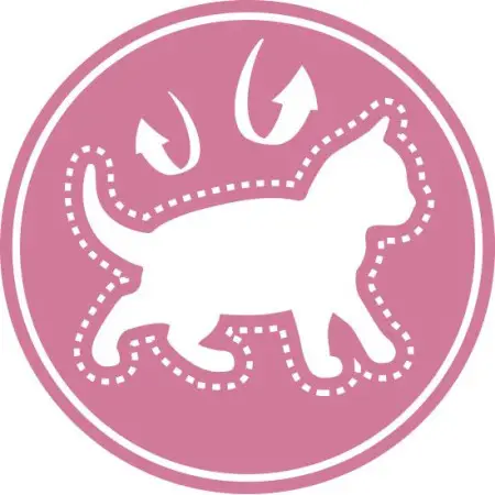 Сухий корм Royal Canin Kitten для кошенят від 4 до 12 місяців, 2 кг