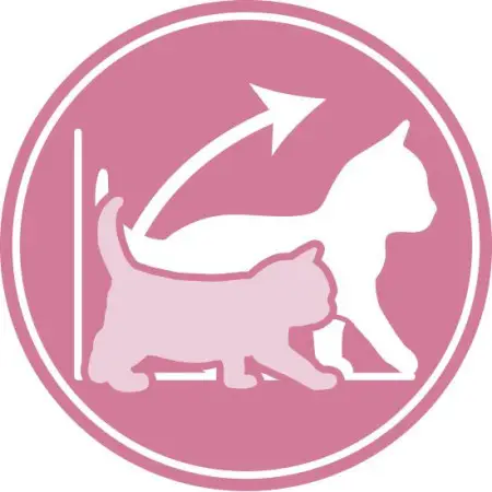 Сухий корм Royal Canin Kitten для кошенят від 4 до 12 місяців, 400 г