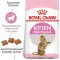 Сухий корм Royal Canin Kitten Sterilised для стерилізованих кошенят до 12 місяців, 2 кг