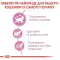Сухий корм Royal Canin Kitten Sterilised для стерилізованих кошенят до 12 місяців, 2 кг