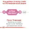 Сухий корм Royal Canin Kitten Sterilised для стерилізованих кошенят до 12 місяців, 2 кг