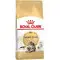 Сухий корм Royal Canin Maine Coon Adult для мейн-кунів, 2 кг
