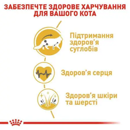 Сухий корм Royal Canin Maine Coon Adult для мейн-кунів, 2 кг