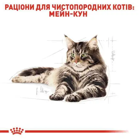 Сухий корм Royal Canin Maine Coon Adult для мейн-кунів, 2 кг