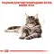 Сухий корм Royal Canin Maine Coon Adult для мейн-кунів, 2 кг