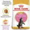 Сухий корм Royal Canin Maine Coon Kitten для кошенят мейн-кунів до 15 місяців, 2 кг