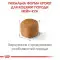 Сухий корм Royal Canin Maine Coon Kitten для кошенят мейн-кунів до 15 місяців, 400 г