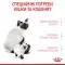 Сухий корм Royal Canin Mother and Babycat для кошенят та годуючих кішок, 2 кг