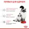 Сухий корм Royal Canin Mother and Babycat для кошенят та годуючих кішок, 400 г