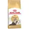 Сухий корм Royal Canin Persian Adult для перських кішок від 12 місяців, 2 кг