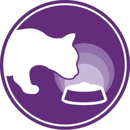 Сухий корм Royal Canin Sensible при чутливому травленні у кішок, 2 кг