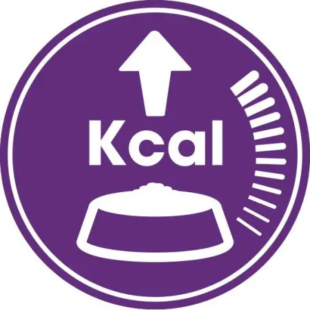 Сухий корм Royal Canin Sensible при чутливому травленні у кішок, 400 г