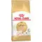 Сухий корм Royal Canin Sphynx Adult для сфінкса, 2 кг
