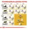 Сухий корм Royal Canin Sphynx Adult для сфінкса, 2 кг