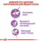 Сухий корм Royal Canin Sterilised 37 для стерилізованих кішок, 10 кг