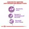 Сухий корм Royal Canin Sterilised 37 для стерилізованих кішок, 4 кг