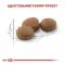 Сухий корм Royal Canin Sterilised 37 для стерилізованих кішок, 4 кг