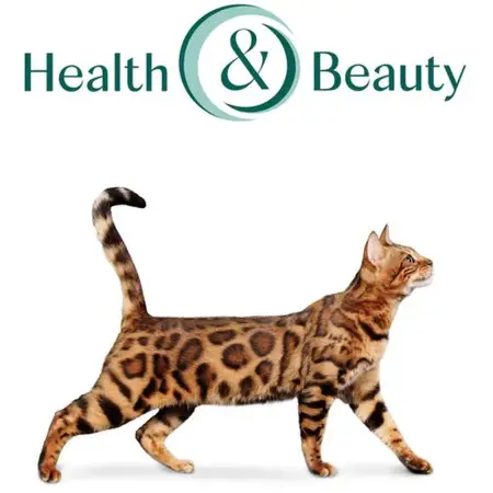 Влажный корм Optimeal Adult Cats Sterilised для стерилизованных кошек с лососем и черникой в желе 85 г