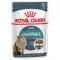 Вологий корм Royal Canin Hairball Care для виведення шерсті у кішок, шматочки в соусі, 85 г
