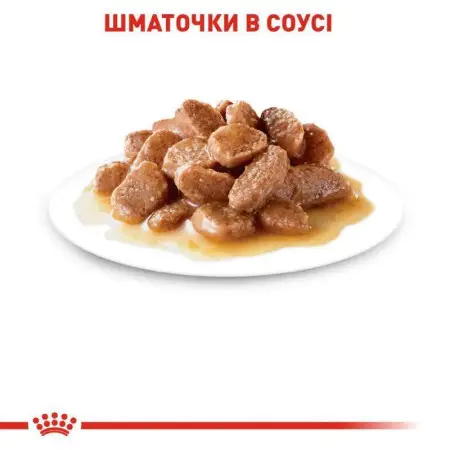 Вологий корм Royal Canin Hairball Care для виведення шерсті у кішок, шматочки в соусі, 85 г