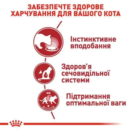 Вологий корм Royal Canin Instinctive для кішок, шматочки в соусі, 85 г
